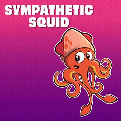 Sympathetic Squid Illustration GIF
