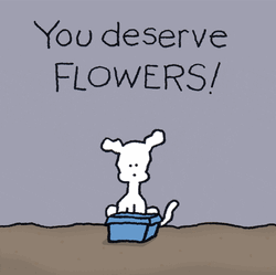 Sympathy You Deserve Flowers