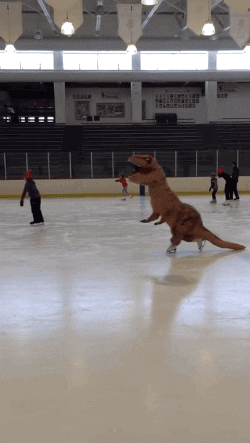 T-Rex Ice Skating GIF