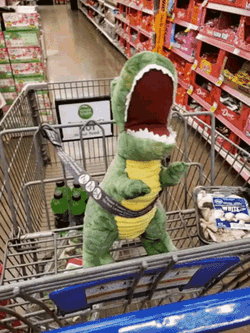 T Rex Shopping Cart GIF