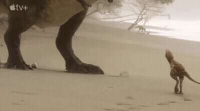 T-Rex Standing Next To Small Animal In Sand GIF