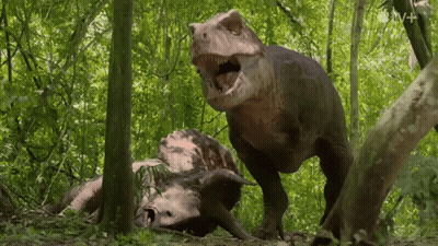 T-Rex Standing Next To Triceratops With Mouth Open GIF
