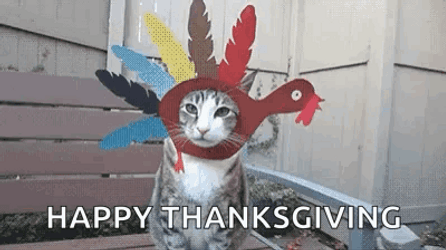 Tabby Cat Animated Happy Thanksgiving GIF