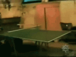 Table Tennis Broken In Two GIF