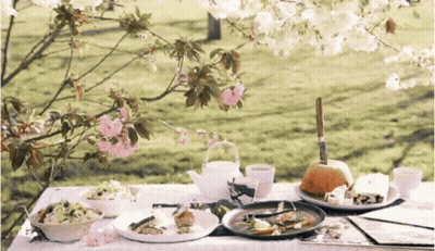 Table With Plates Of Food And Teapot With Flowers GIF