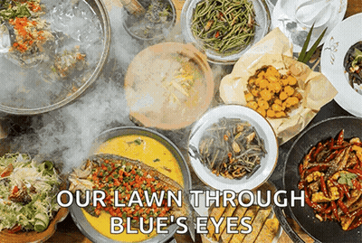 Table With Plates Of Food Saying Our Lawn Through Blue's Eyes GIF