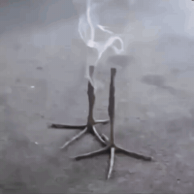 Table With Smoke And Bird Feet GIF