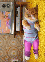 Taby Cat Aerobics In Yoga Pants GIF