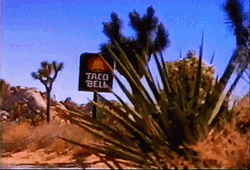 Taco Bell Signage  GIF