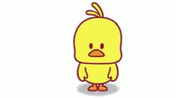 Tada Cute Yellow Chick  GIF