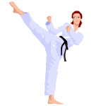 Taekwondo Karate Kick