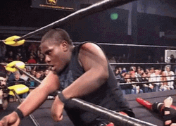 Tag Team Fan Helping Out WWF GIF