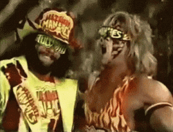 Tag Team Randy Savage Ultimate Warrior GIF