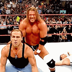 Tag Team Shawn Michaels Paul Levesque GIF