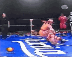 Tag Team Tage Red Bo Rolling Celebration GIF