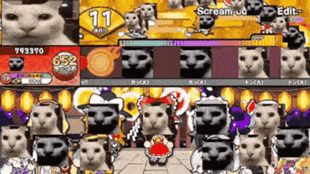 Taiko No Tatsujin Canny Cat GIF