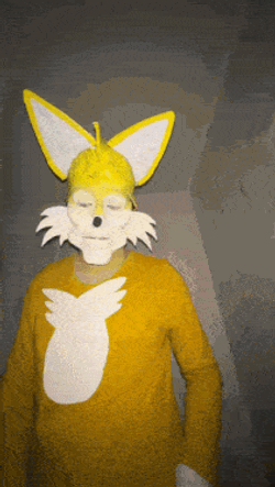 Tails Sonic The Hedgehog GIF