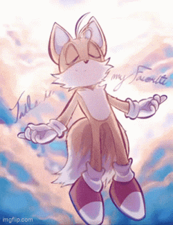 Tails Tails The Fox GIF