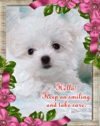 Take Care Keep On Smiling Puppy GIF