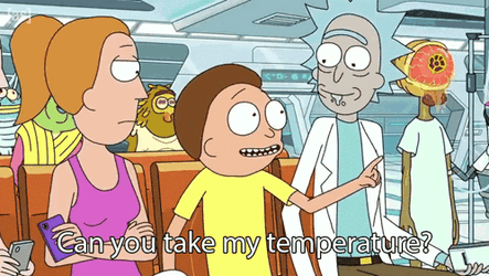 Take My Temperature Rick Morty Summer GIF