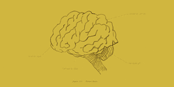 Taking Out A Piece Of Brain GIF