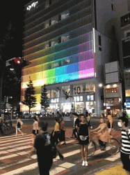 Taking Picture Here In Japan GIF