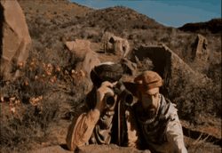 Taliban Spy Members Funny Wave GIF