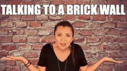 Talking To A Brick Wall Lady Reaction Frustrated GIF
