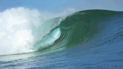 Tall Ocean Wave
