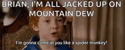 Talladega Nights Spider Monkey GIF
