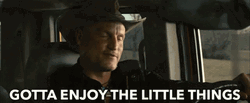 Tallahassee Enjoying Small Things Zombieland GIF