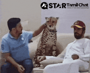 Tamil Chat Star Chat GIF