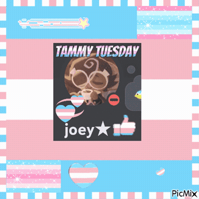 Tammy Tuesday Joey Thumbs Up GIF