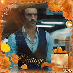 Tangerine Bullet Train GIF