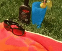 Tanning Labrador With Bikini On GIF