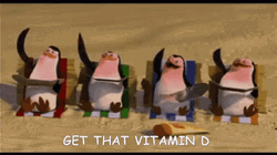 Tanning Penguins Of Madagascar GIF