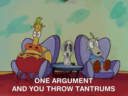 Tantrum Therapy Rocko's Modern Life GIF