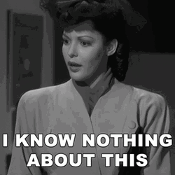 Tanya Czoraki I Know Nothing GIF