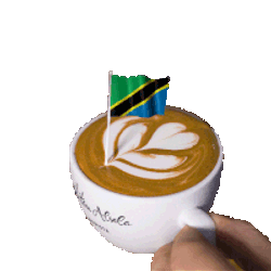 Tanzania United Republic Of Tanzania Sticker GIF