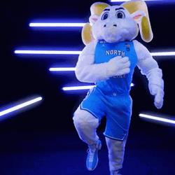 Tar Heels Rameses Knees Arms Action GIF