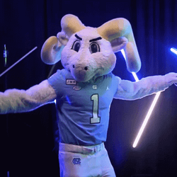Tar Heels Rameses Partying GIF