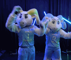 Tar Heels Two Rameses Dancing GIF