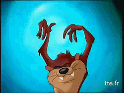 Tasmanian Devil Attacking The Camera GIF