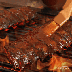 Tasty Bbq Ribs Burning Flames GIF