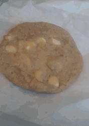Tasty Cookie Golden Brown Hue GIF