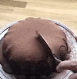 Tasty Volcano Lava Moist Cake GIF