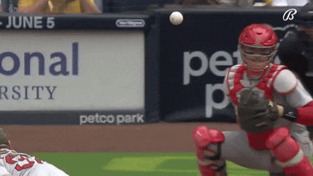 Tatis Jr Sportsbetting GIF