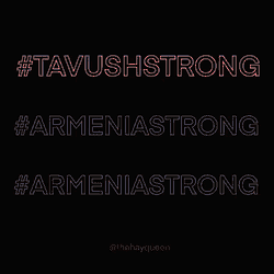 Tavush Strong Arm Gif GIF