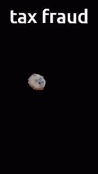 Taxes Fraud Hamster Running GIF
