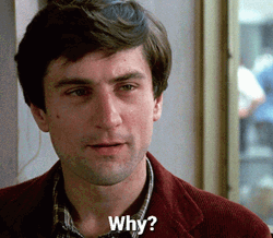 Taxi Driver Travis Bickle Why GIF